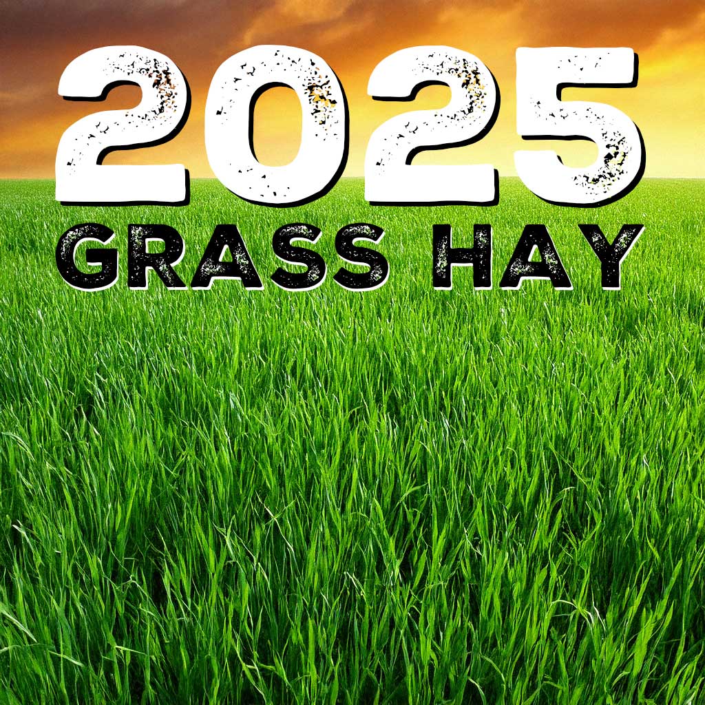 2025 GRASS HAY