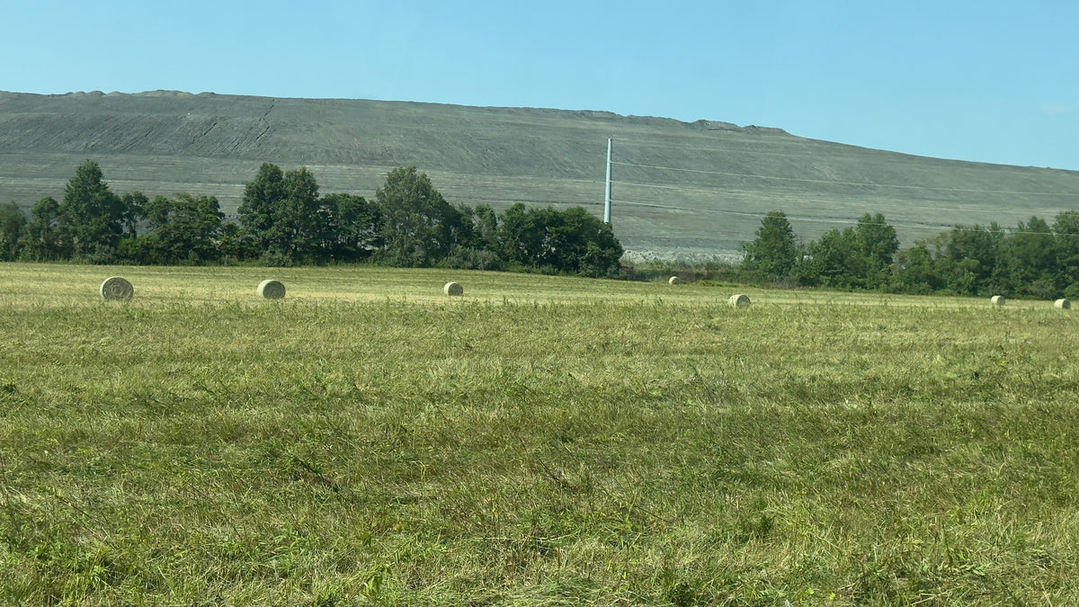 MOW, RAKE &amp; BALE (ROUGH CRP)